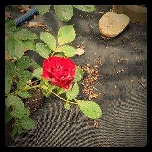 PLEASE MAKE OFFERS ON ALL AND DON'T BE AFRAID TO B